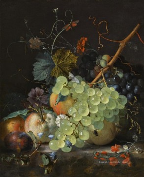 Noch Leben mit Blumen und Früchten Jan van Huysum Ölgemälde